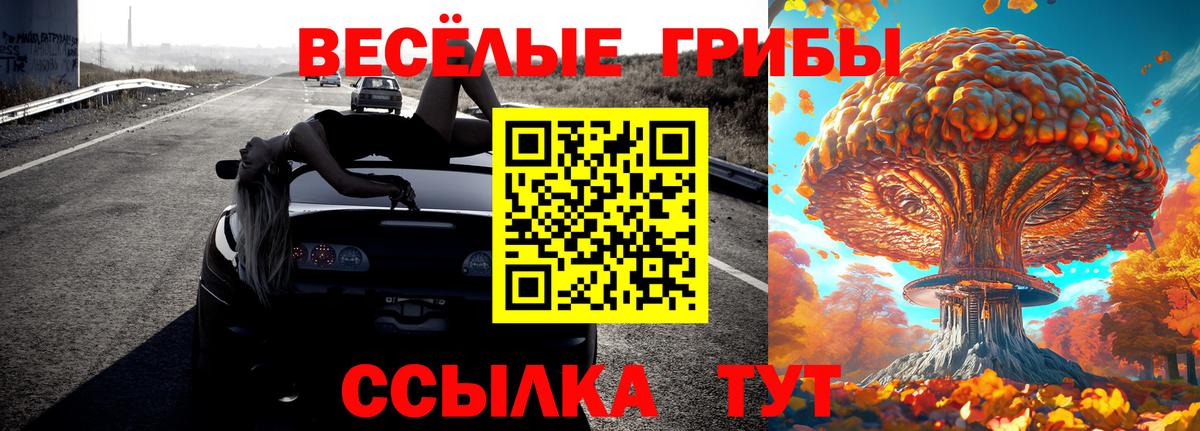 Галлюциногенные грибы Psilocybine cubensis Радужный
